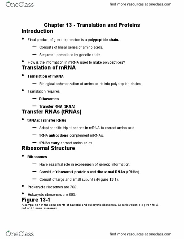 GEN-3000 Lecture Notes - Lecture 13: Transfer Rna, Peptide, Protein Structure thumbnail