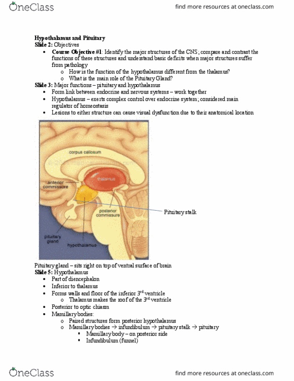 PT 518 Lecture Notes - Lecture 7: Anterior Pituitary, Sleep Deprivation, Pituitary Adenoma thumbnail