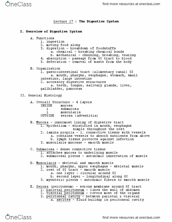 Biology 1001A Lecture Notes - Lecture 17: Soft Palate, Common Bile Duct, Ascites thumbnail