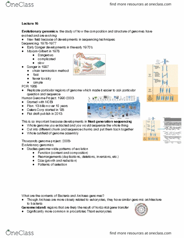 EEB 390 Lecture Notes - Lecture 16: Sanger Sequencing, Horizontal Gene Transfer, Human Genome Project thumbnail