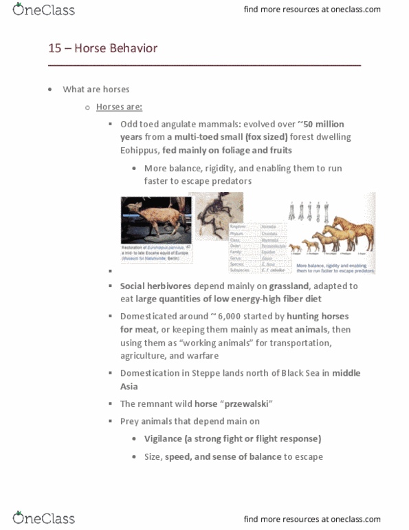 AVS-4100 Lecture Notes - Lecture 15: Soviet Central Asia, Eohippus, Wild Horse thumbnail