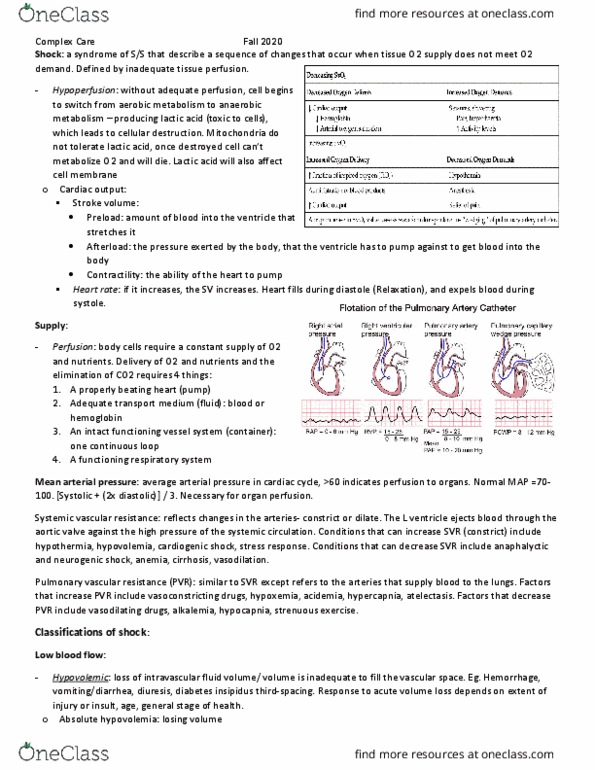 NSG 4330 Lecture Notes - Lecture 9: Mean Arterial Pressure, Cardiogenic Shock, Neurogenic Shock thumbnail