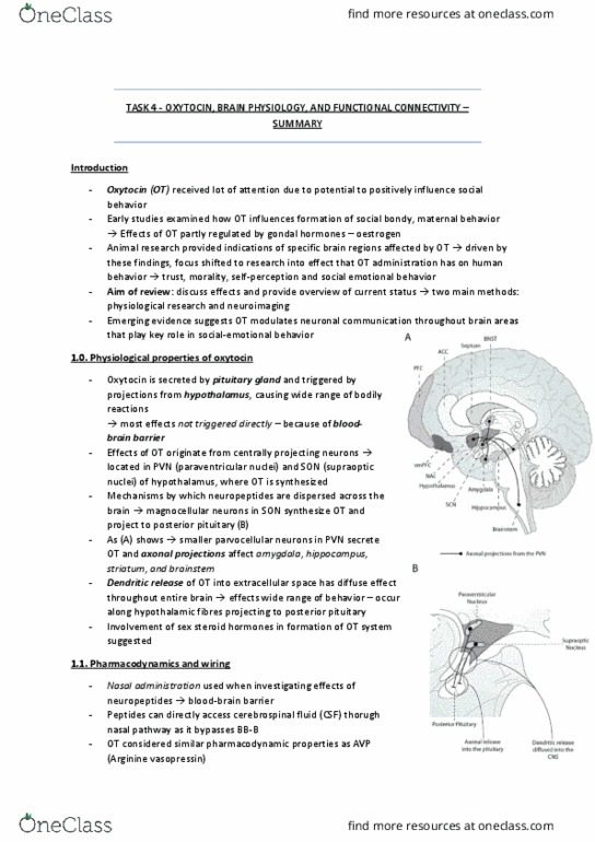 document preview image