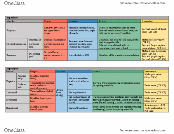 PT 512 Lecture Notes - Lecture 21: Sternohyoid Muscle, Facial Nerve, Superior Oblique Muscle thumbnail