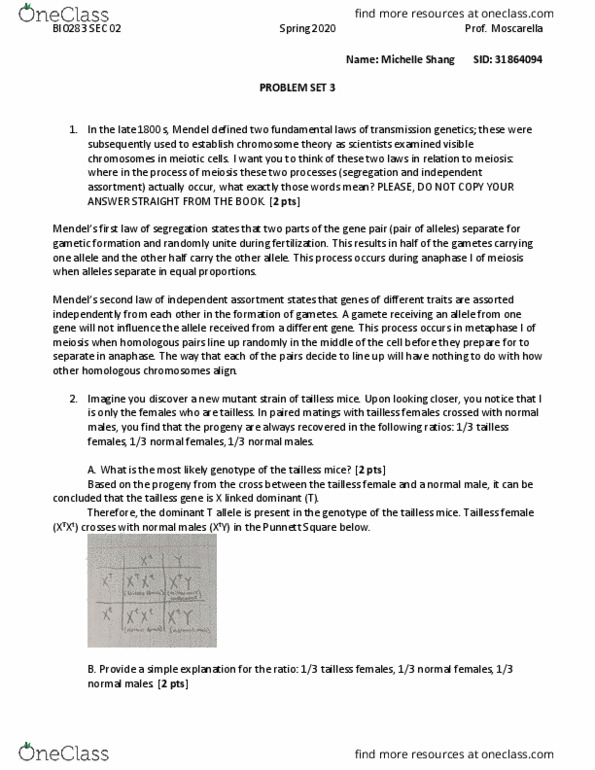 BIOLOGY 283 Lecture Notes - Lecture 18: Punnett Square, Mendelian Inheritance, Simple Explanation thumbnail