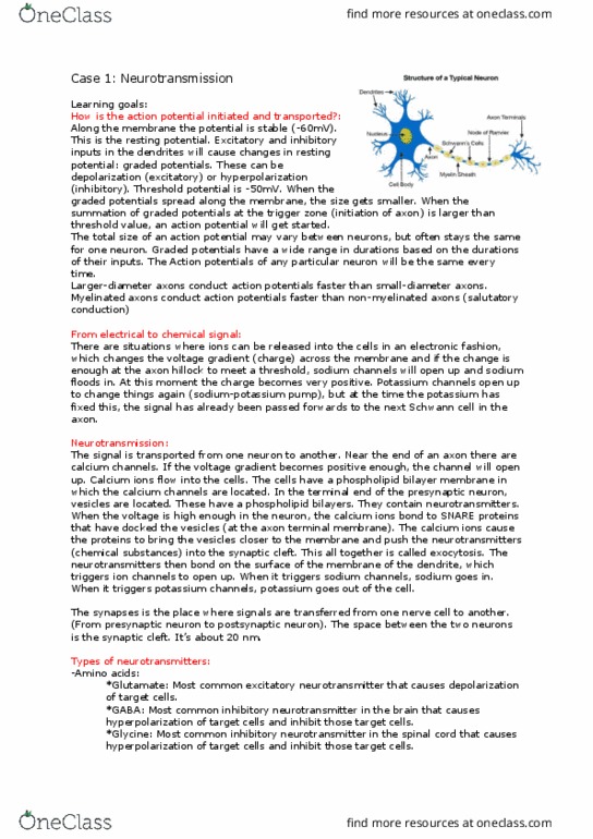 REAL ES 5 Lecture Notes - Lecture 19: Lipid Bilayer, Threshold Potential, Phospholipid thumbnail