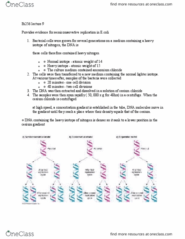 BI256 Lecture Notes - Lecture 9: Ammonium Chloride, Escherichia Coli, Caesium thumbnail