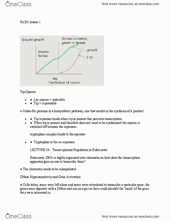 HE201 Lecture Notes - Lecture 1: Deoxyribonuclease, Chromatin, Lac Operon thumbnail