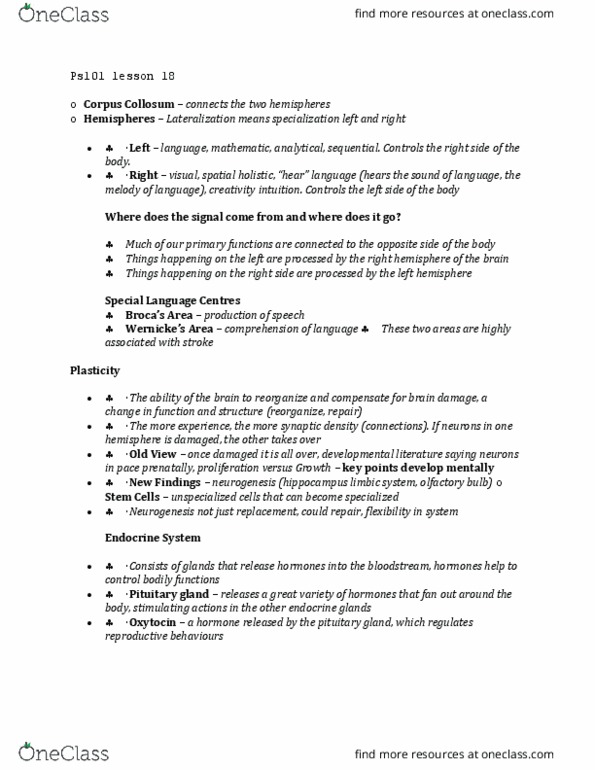 PS101 Lecture Notes - Lecture 18: Limbic System, Neurogenesis, Olfactory Bulb thumbnail