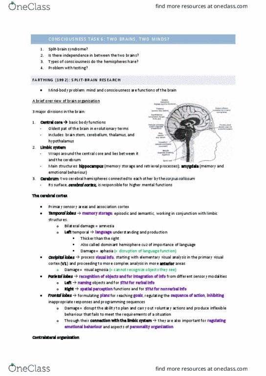 OCEANO 1 Lecture Notes - Lecture 9: Neuropsychology, Temporal Lobe, Gestalt Psychology thumbnail