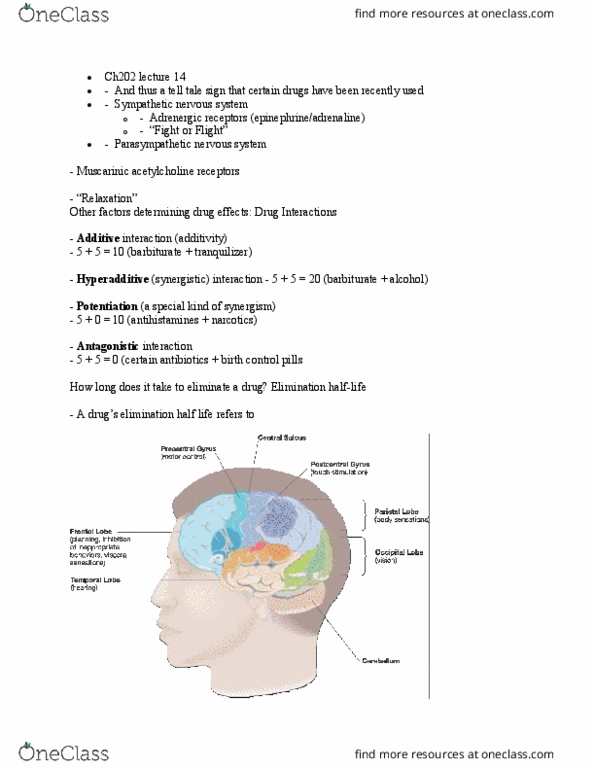 CH202 Lecture Notes - Lecture 14: Combined Oral Contraceptive Pill, Parasympathetic Nervous System, Adrenergic Receptor thumbnail