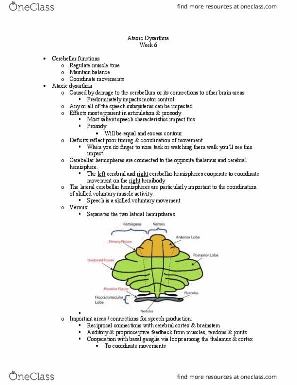 SPA 3101 Lecture Notes - Lecture 7: Basal Ganglia, Language Localisation, Phonation thumbnail