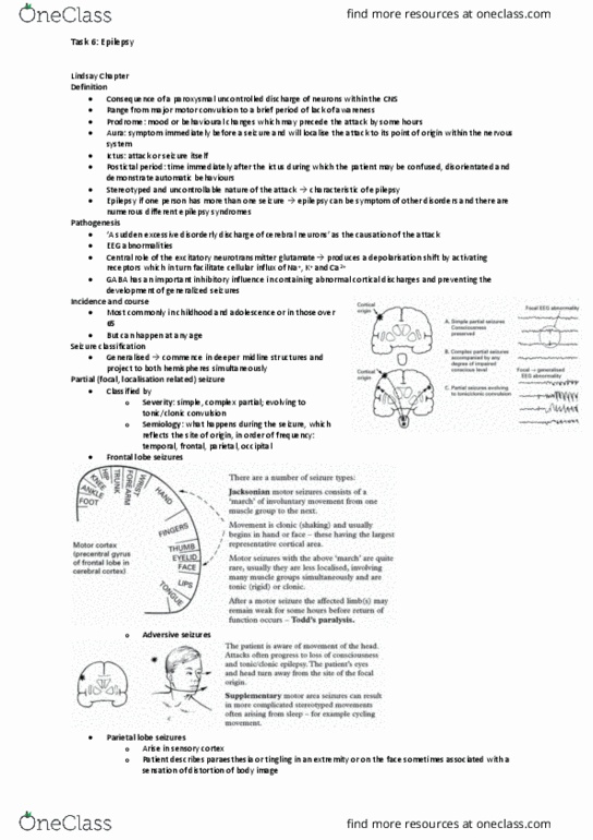 BUS 17 Lecture Notes - Lecture 4: Parietal Lobe, Frontal Lobe, Paresthesia thumbnail