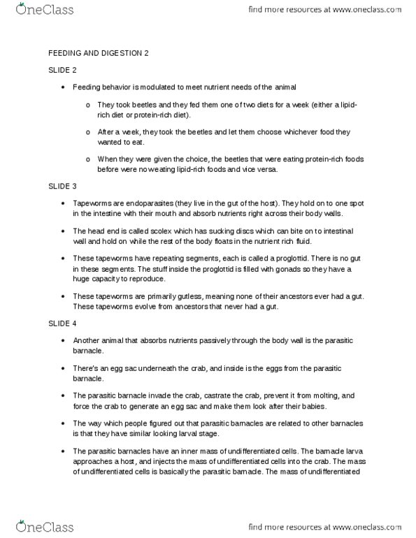 BIOB34H3 Lecture Notes - Cestoda, Hemoglobin, Endostyle thumbnail