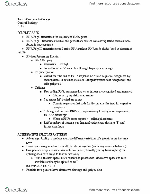 BIO 121 Lecture Notes - Lecture 6: Guanosine, Endonuclease, Polyadenylation thumbnail