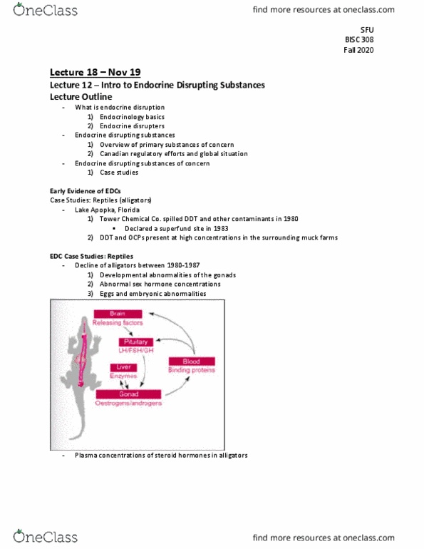 BISC 313 Lecture Notes - Lecture 18: Apopka, Florida, Lake Apopka, Endocrine Disruptor thumbnail