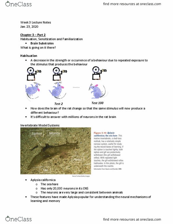 PSYC 325 Lecture Notes - Lecture 3: Aplysia, Habituation, Head Direction Cells thumbnail