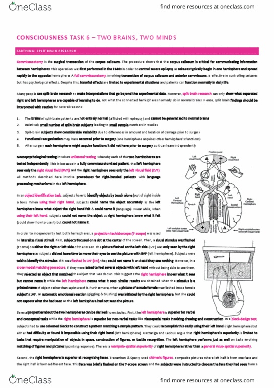 THEATER 335 Lecture Notes - Lecture 15: Tachistoscope, Primary Consciousness, Spatial Frequency thumbnail