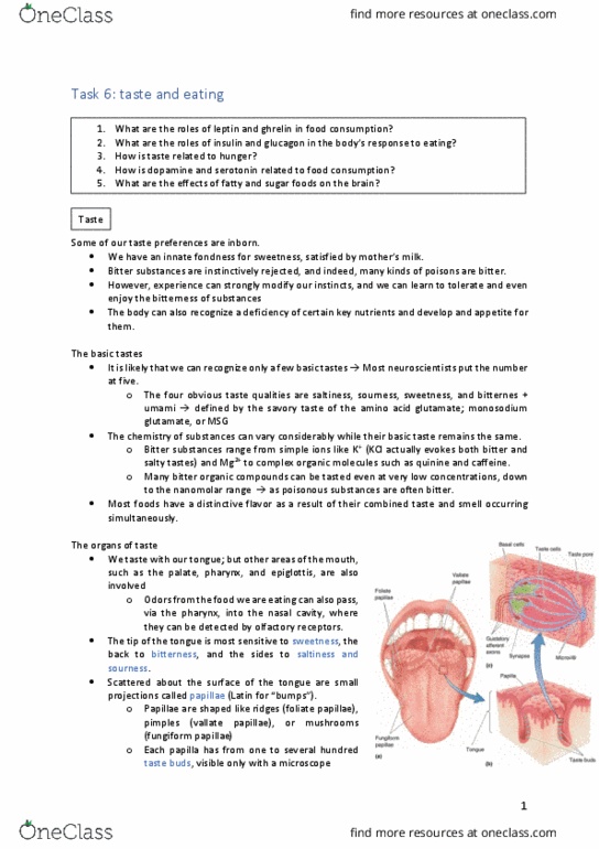 THEATER 335 Lecture Notes - Lecture 5: Anorectic, Skeletal Muscle, Impaired Glucose Tolerance thumbnail
