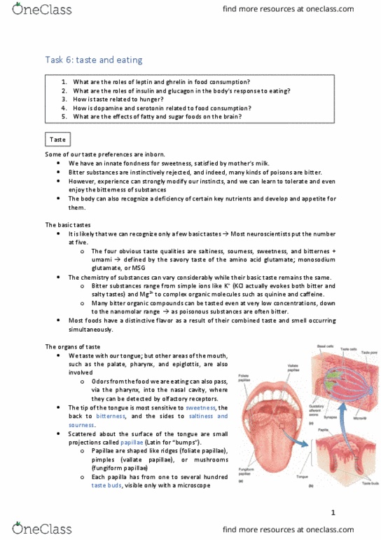 document preview image