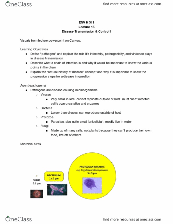 ENV H 311 Lecture Notes - Lecture 15: Gastroenteritis, Norovirus, Protozoa thumbnail