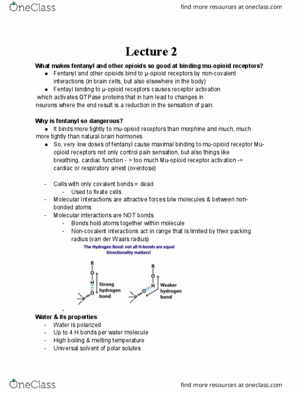 BCH 261 Lecture Notes - Lecture 2: Covalent Bond, Gtpase, Morphine thumbnail