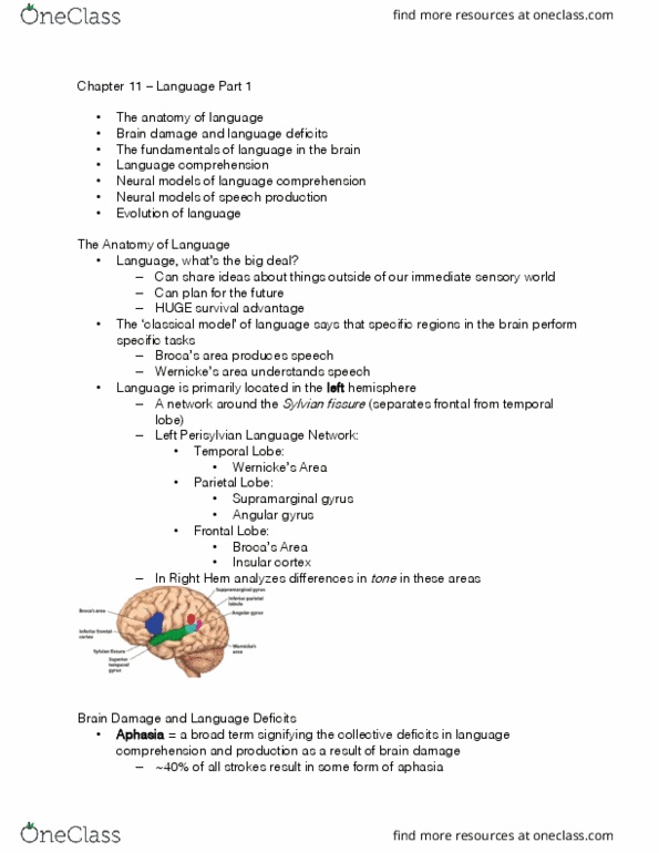 PS267 Lecture Notes - Lecture 15: University Of Manchester, Conduction Aphasia, Apraxia thumbnail
