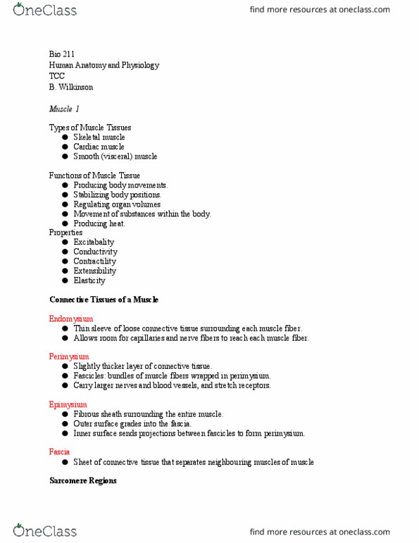 BIO 211 Lecture Notes - Lecture 15: Loose Connective Tissue, Perimysium, Myocyte thumbnail