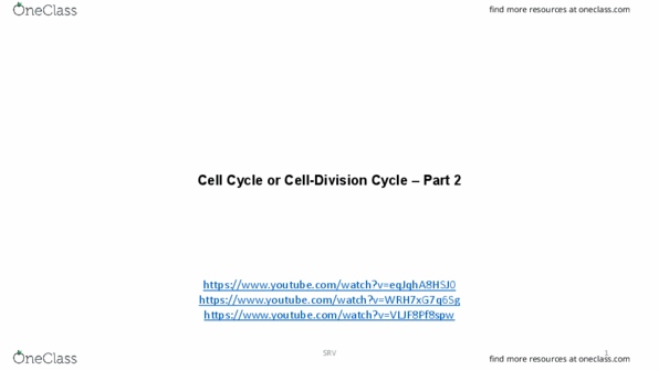 BIOL 340 Lecture Notes - Lecture 4: P16, Dna Replication Factor Cdt1, P21 thumbnail