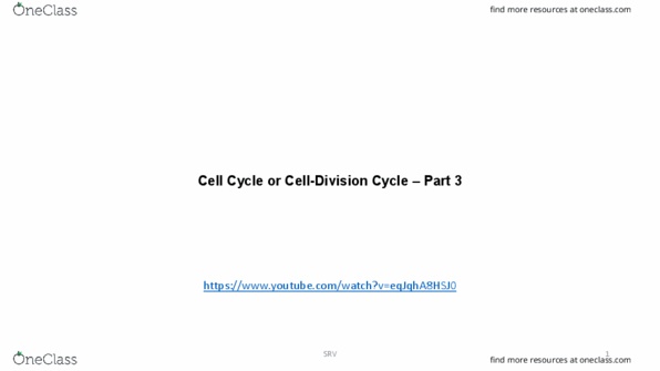 BIOL 340 Lecture Notes - Lecture 6: Apoptosis, S Phase, Condensin thumbnail