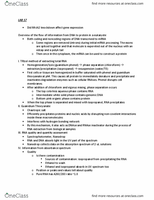 NUSCTX 170 Lecture Notes - Lecture 17: Isopropyl Alcohol, Chloroform, Hydrogen Bond thumbnail