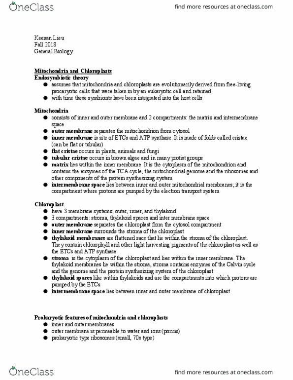 BIO-1 Lecture Notes - Lecture 10: Light-Independent Reactions, Intermembrane Space, Atp Synthase thumbnail