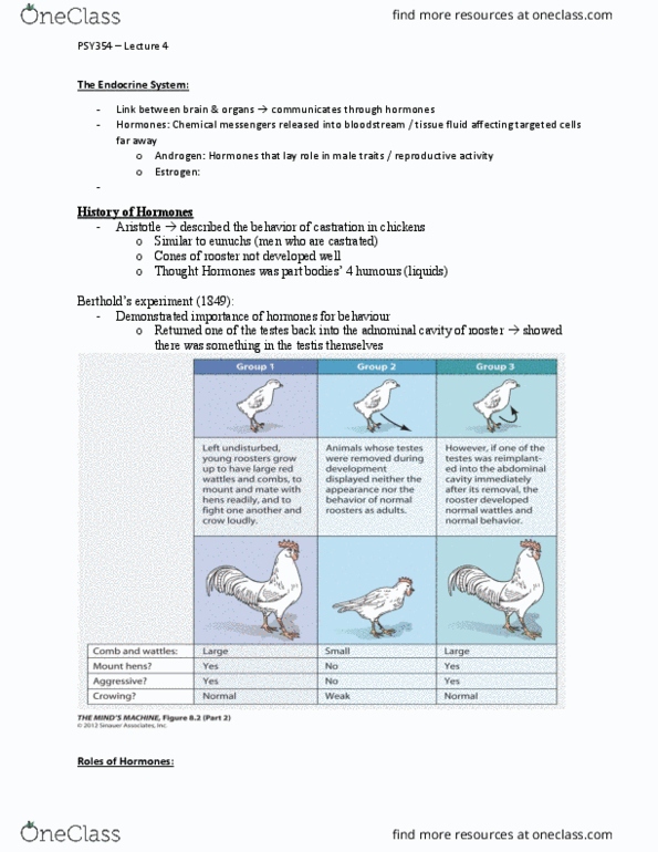 PSY354H5 Lecture Notes - Lecture 4: Premature Ovarian Failure, Seminiferous Tubule, Circadian Rhythm thumbnail