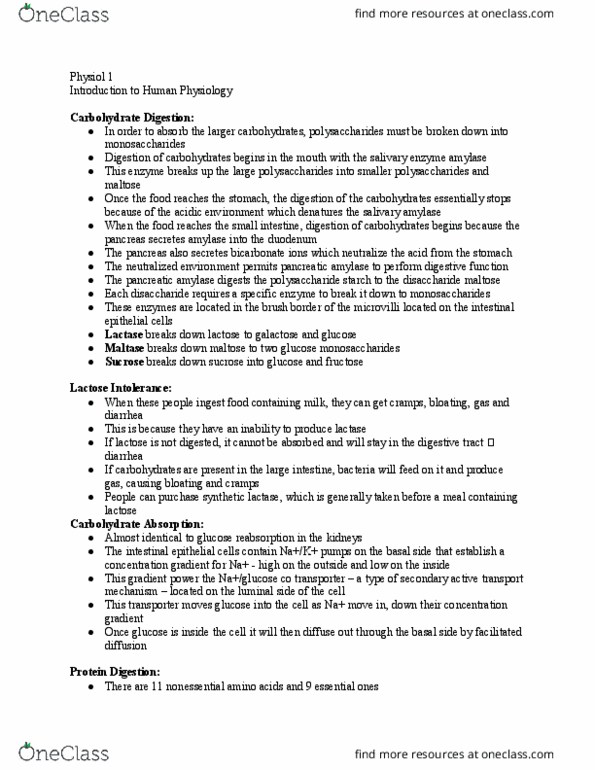 PHYSIOL 1 Lecture Notes - Lecture 19: Active Transport, Renal Glucose Reabsorption, Brush Border thumbnail