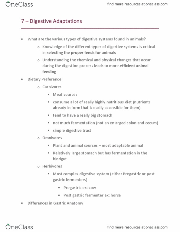 AVS-3750 Lecture Notes - Lecture 7: Hoatzin, Rodent, Omasum thumbnail