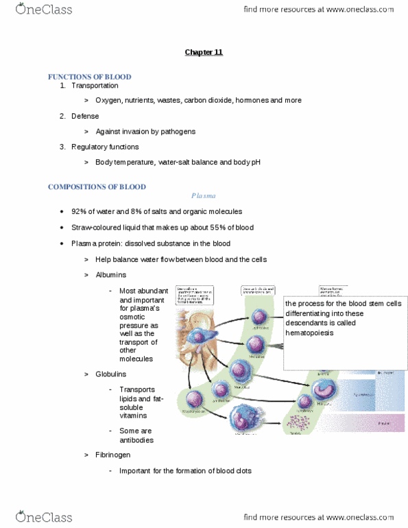 document preview image