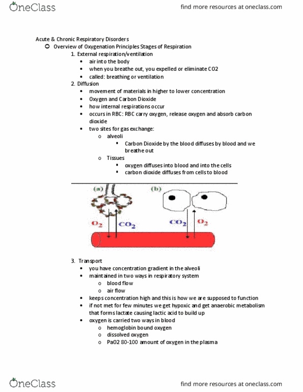 NURS 471 Lecture Notes - Sputum, Acidosis, Bronchitis thumbnail