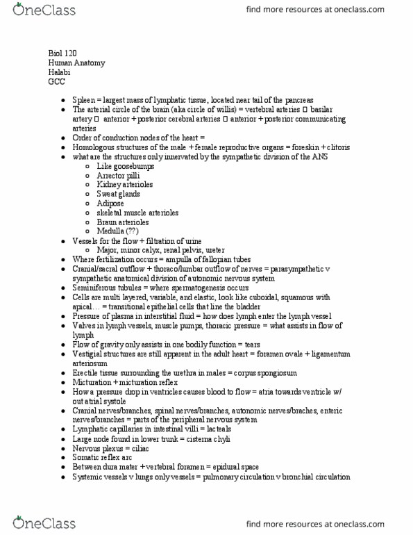 BIOL 120 Lecture Notes - Lecture 24: Arteriole, Urination, Reflex Arc thumbnail