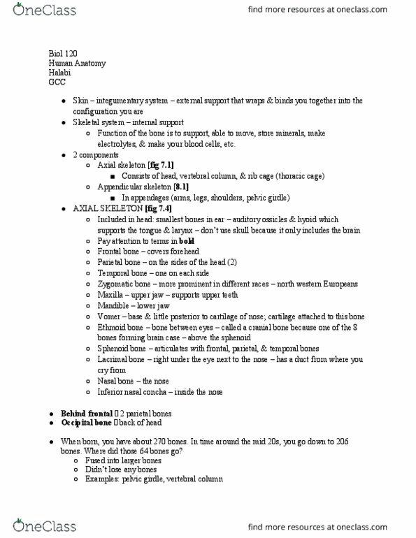 BIOL 120 Lecture Notes - Lecture 25: Maxilla, Occipital Condyle, Vomer thumbnail