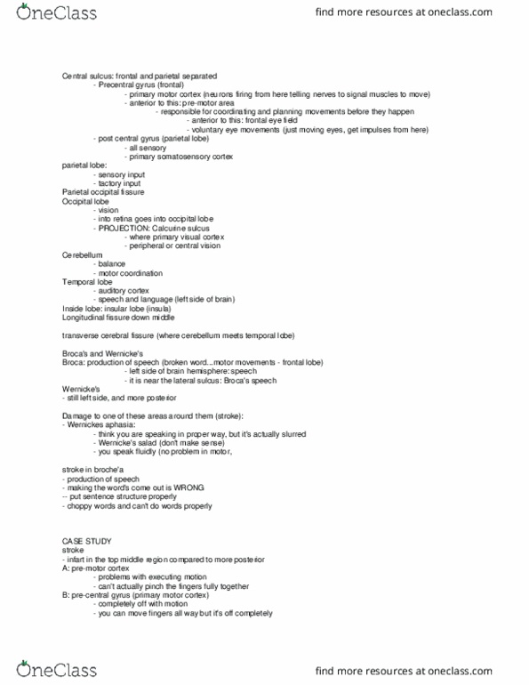 Anatomy and Cell Biology 3319 Lecture Notes - Lecture 2: Premotor Cortex, Parietal Lobe, Retina thumbnail