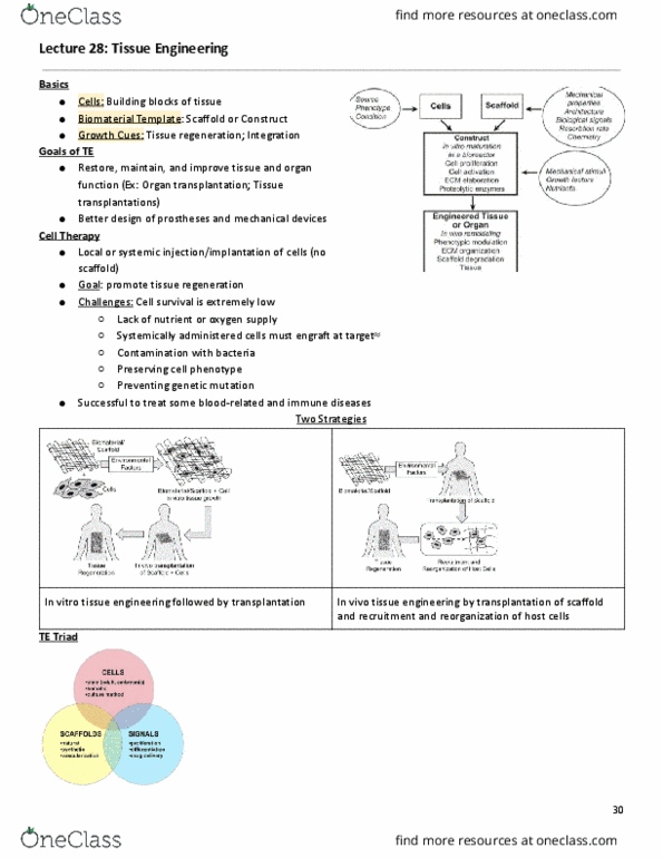 document preview image