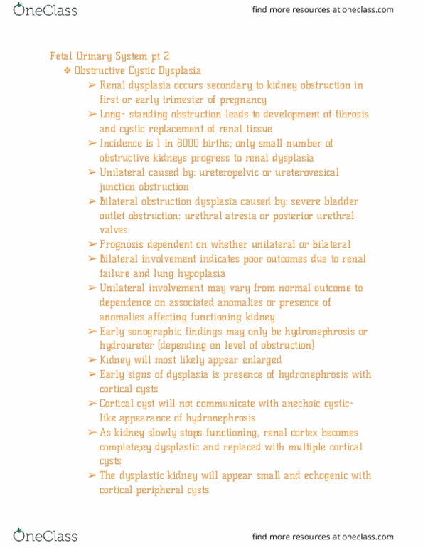 RIU 435 Lecture Notes - Lecture 18: Multicystic Dysplastic Kidney, Hydronephrosis, Renal Cortex thumbnail