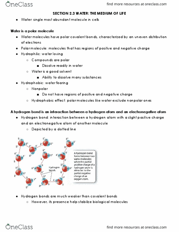 LIFESCI 7A Chapter Notes - Chapter 2.3: Surface Tension, Covalent Bond, Chemical Polarity thumbnail