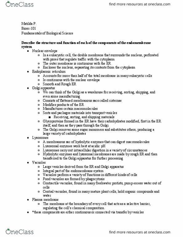 BIOSC-101 Lecture Notes - Lecture 5: Endomembrane System, Chlorophyll, Cellular Respiration thumbnail