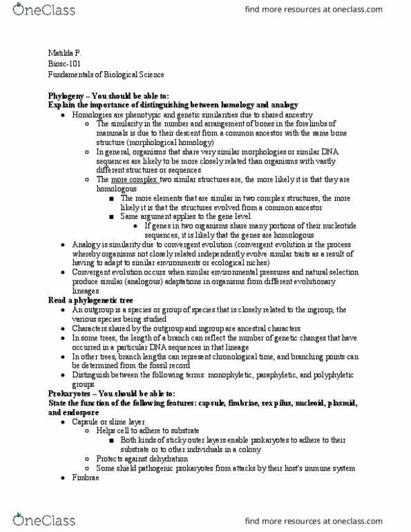 BIOSC-101 Lecture Notes - Lecture 17: Molecular Cloning, Polyphyly, Endospore thumbnail