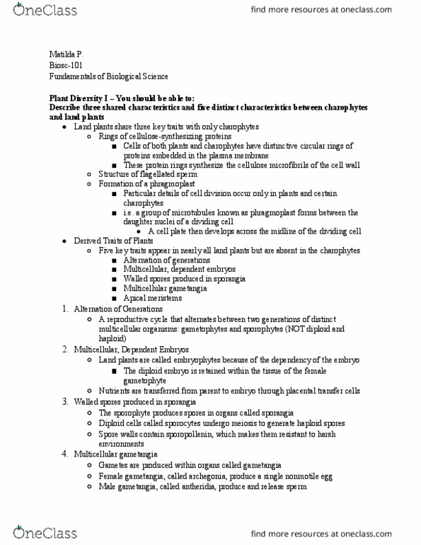 BIOSC-101 Lecture Notes - Lecture 19: Charophyta, Gametangium, Phragmoplast thumbnail