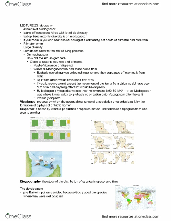 EEB 390 Lecture Notes - Lecture 23: Brown Recluse Spider, Major Force, Species Richness thumbnail