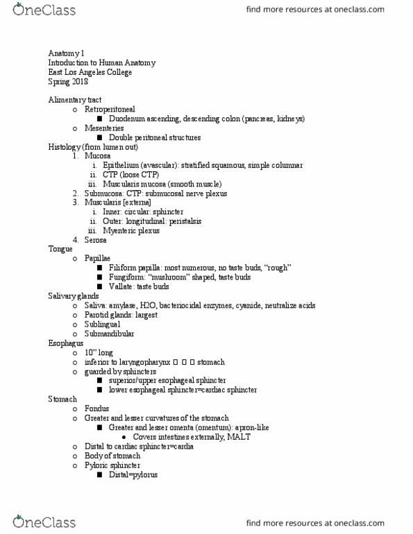 ANATOMY 1 Lecture Notes - Lecture 21: Lingual Papilla, Gastric Acid, Mucosa-Associated Lymphoid Tissue thumbnail