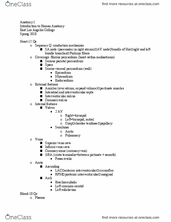 ANATOMY 1 Lecture Notes - Lecture 23: East Los Angeles College, Inferior Vena Cava, Superior Vena Cava thumbnail