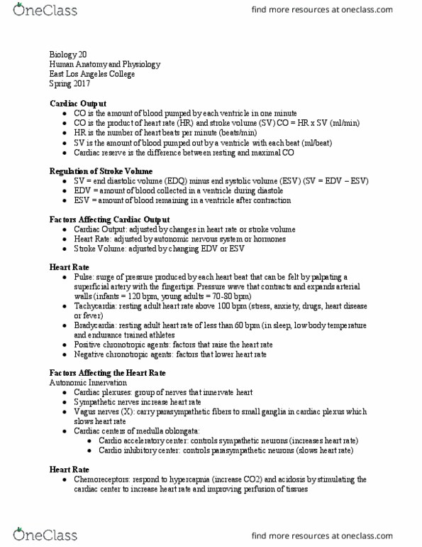 BIOLOGY 20 Lecture Notes - Lecture 22: East Los Angeles College, Cardiac Plexus, Medulla Oblongata thumbnail